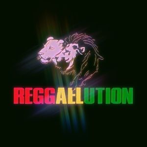 Meet your Posher, Qishal